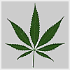 Investorideas.com Marijuana/ Ag Stocks