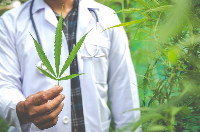 Navigating Healthcare Innovations: The Role of Medical Cannabis in 2025