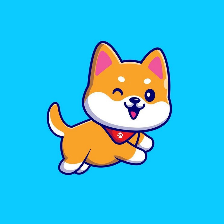 A beginner's guide to Shiba Inu, the meme-based cryptocurrency