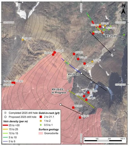 Trifecta Gold Rye Property drill map, Tombstone Gold Belt (Yukon) 2025-completed & proposed holes RY-25-01/02/03, sheeted quartz vein density, gold-in-rock assays up to 21.1 g/t, granodiorite surface geology